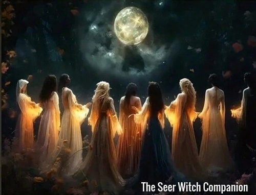 The Seer Witch Companion - Giving You Divinely Inspired Predictions Or Instructions