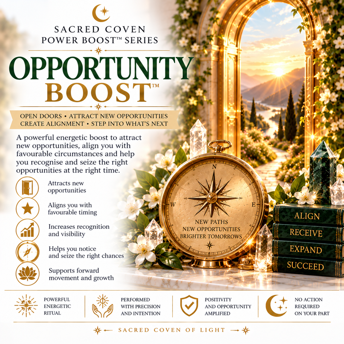 OPPORTUNITY POWER BOOST™ Open Doors • Timing • New Possibilities