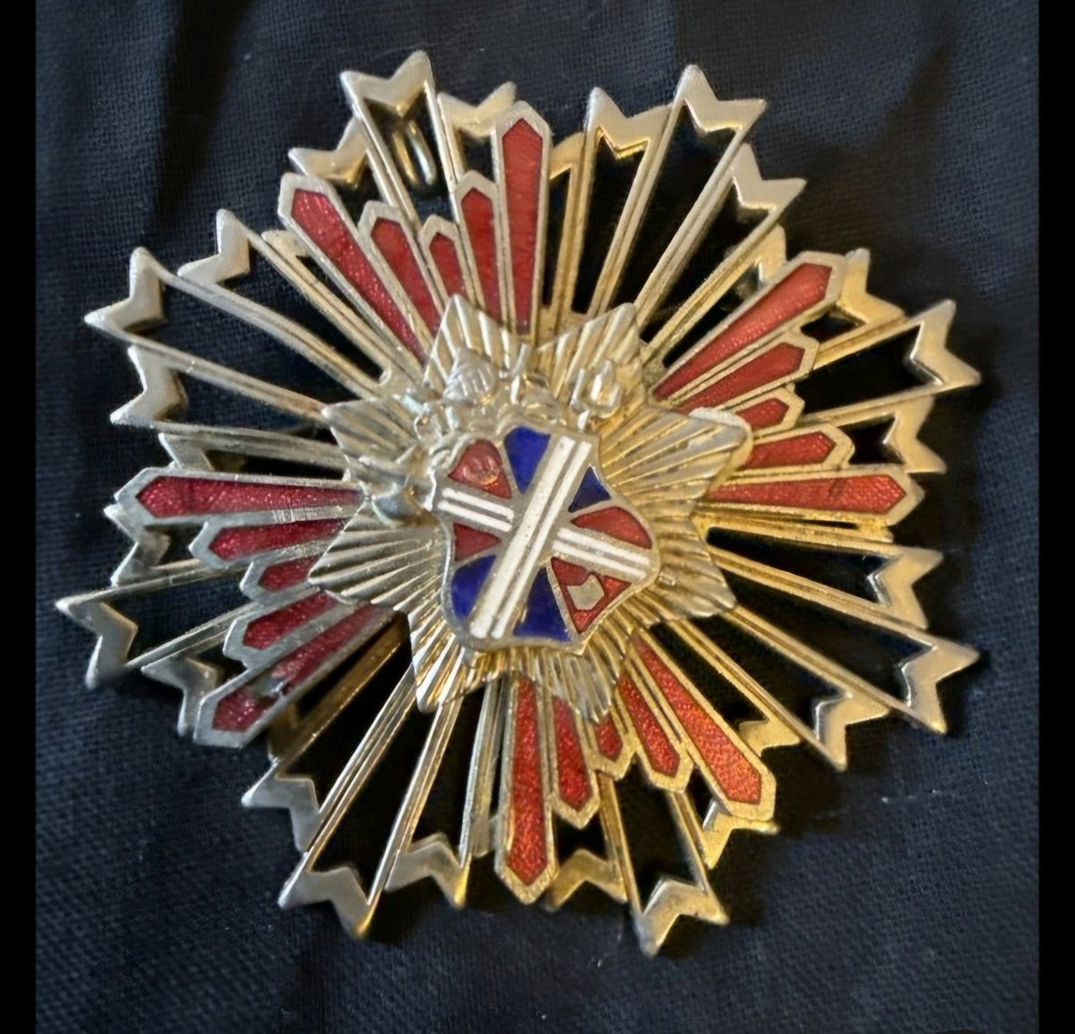 The Order of the Radiant Sentinel